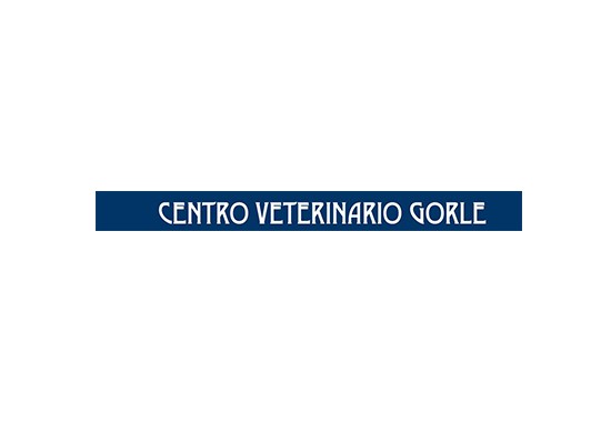 LOGO-veterinario-web